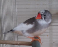 Memoca🕊️12/08/24