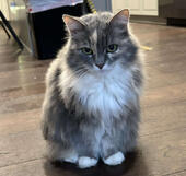 Kitty🕊️ 9/23/25