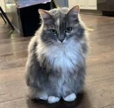 Kitty🕊️x 9/23/25