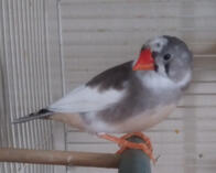 Memoca🕊️12/08/24